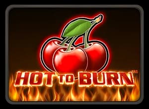 Hot to Burn slot thumbnail