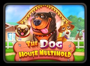 The Dog House Multihold slot thumbnail