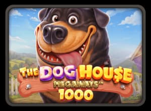 The Dog House Megaways 1000 slot thumbnail